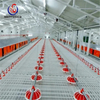 Cheap Price Hot Sale Automatic Poultry Farm Feeding Equipment for Broiler