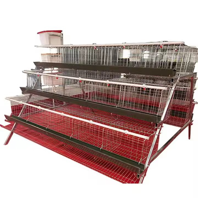 Good price automatic A type layer chicken cage for poultry farm