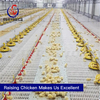  Automatic Poultry Farm Equipment for Chicken Cage Floor Raising Feeding Pan System