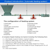 Sturdy and Efficient Broiler Farm Machinery for Maximizing Profitability