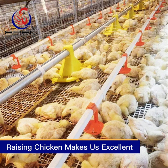 Automatic chain-type harvesting broiler raising equipment for 68K to 100K chickens