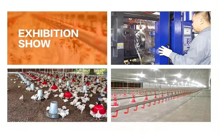Drinking-System-Broiler-Layer-Plastic-Round-Pipe-Chicken-Nipple-Poultry-Water-Drinker-Cup (7)