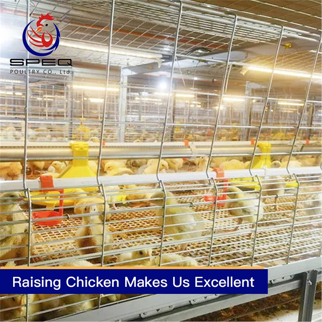 Farming automatic chain-type harvesting broiler cage equipment