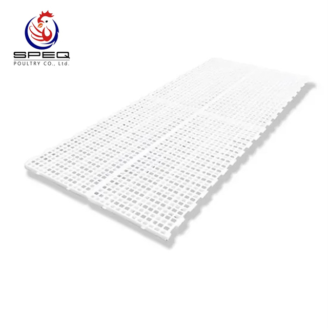 Poultry Broiler Chicken Farm Equipment Plastic Slat Floor Feeding System