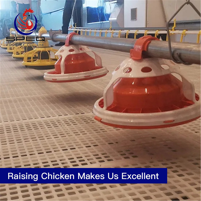 Easily Install Broiler Chicken Flooring Raising Equipment