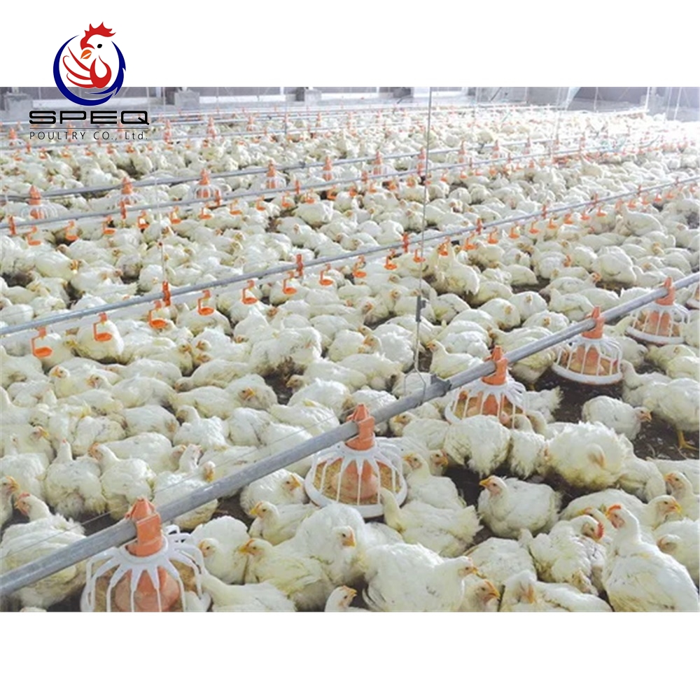 Automatic-Poultry-Farming-Equipment-Durable-Auger-Feeding-Line-for-Broiler-Feed (1)