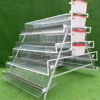 Good price automatic A type layer chicken cage for poultry farm