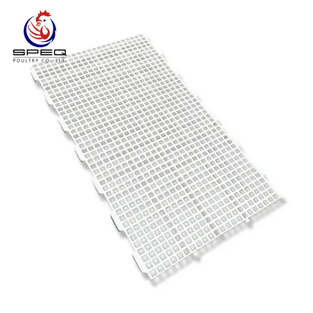 Poultry Flooring System Plastic Slat Slat Flooring Cage Chicken Farm Floor for Chicken