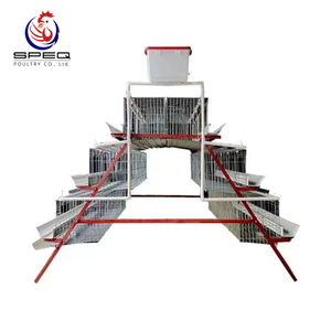 Automatic Egg Chicken Layer Battery Cages for Poultry Farm