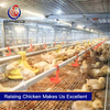 Farming automatic chain-type harvesting broiler cage equipment