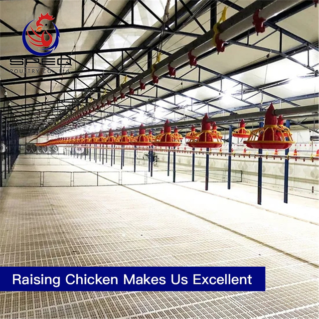 Automatic broiler equipment broiler rearing cage for growing broiler