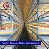Automatic Broiler Chicken Farm Battery Cage Poultry Farming Equipment for sale