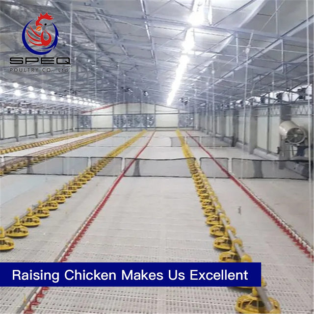 Customizable automatic broiler floor raising system poultry farm equipment
