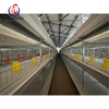 Automatic H Type Poultry Cage Layer Chicken Battery Cages