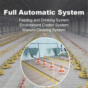 Automatic Broiler Chicken Farm Battery Cage Poultry Farming Equipment for sale