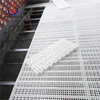 Poultry Farm Floor Raising Breeder Pan Feeding System & Layer Slat Floor Breeding System