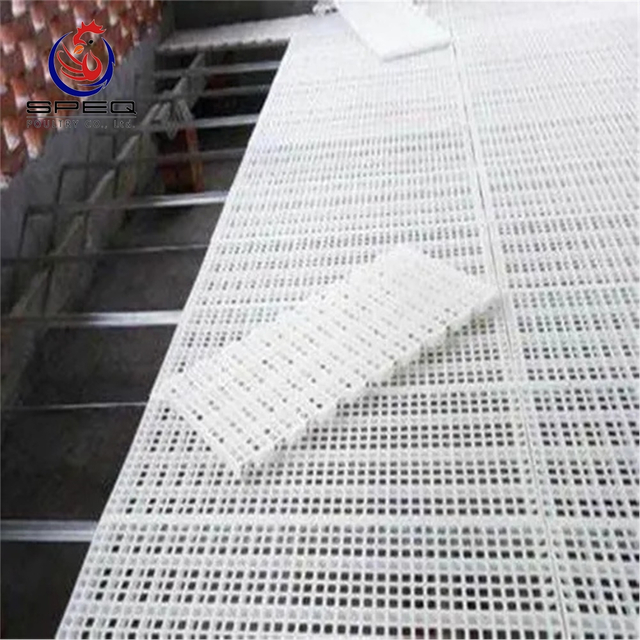 Hot Sale Plastic Raised Slat Floor System for Chicken Farm House