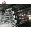 Automatic Egg Chicken Layer Battery Cages for Poultry Farm