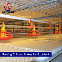 Design High Quality Automatic Poultry Feed Equipment for Broiler